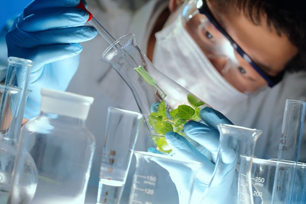 Scientification China's Scientific Revolution | Study In China